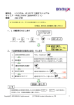 RZ-J700