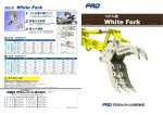 White Fork