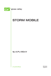 STORM MOBILE － セットアップガイド