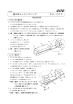 説明書 - GANZ