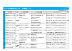 PDF 197KB