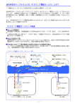 050IP電話サービスパンフレット（PDF）