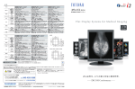 Flat Display Systems for Medical Imaging