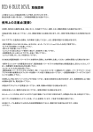 RED & BLUE DEVIL 取扱説明