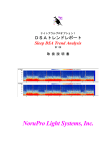 NoruPro Light Systems, Inc.