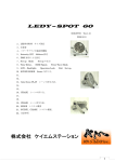 LEDY-SPOT 60