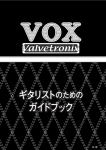 AD60_120VT_GuitaristsG_J3