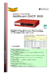 NetWyvern DHCP1000i