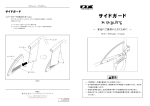 NEO_Fusionサイドガード2009年5月1版