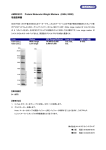 AMRESCO Protein Molecular Weight Markers (K494, K880) 取扱