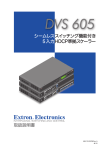 DVS 605 Japanese