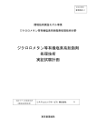 ジクロロメタン等有機塩素系脱脂剤処理技術実証試験計画書