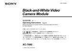 Black-and-White Video Camera Module