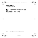 gigabeat V41/V81 取扱説明書 ワンセグ編