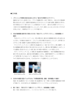 新商品の特徴［PDF］
