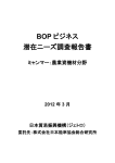 BOPビジネス潜在ニーズ調査報告書：ミャンマーの
