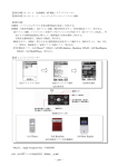 【技術分類】8－6－1 拡張機能／AV 機能／メディアプレーヤー