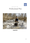 Professional Plus