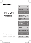 DP-M1