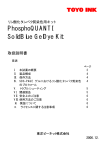 PhosphoQUANTI SolidBlue GelDye Kit