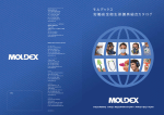 会社概要 - Moldex