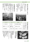 おしらせ【14～24ページ】 [PDFファイル／1.28MB]