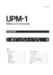 UPM-1 Stereo to 5.1 Converter