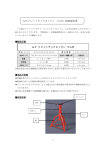 APリジットラック2tピン ゴム付 取扱説明書 AP リジットラック2tピン ゴム付