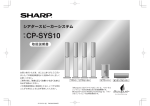 CP-SYS10