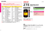 ZTE(統合版)