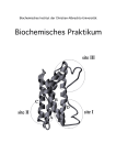 biochemisches praktikum i - Christian-Albrechts