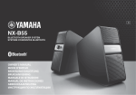 NX-B55 - Yamaha Hifi Romania