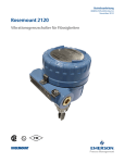 Rosemount 2120 Vibrationsgrenzschalter für Flüssigkeiten