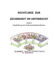 richtlinie zur sicherheit im unterricht - Lehrer-Uni-Karlsruhe RAI