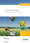 Leitfaden Biogas 2013