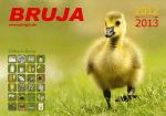 BRUJA-Katalog 2012-2013
