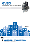 Remote Electronic Ignition and Control System Precision