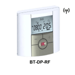 BT-DP-RF - Weinmann & Schanz