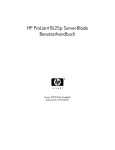 HP ProLiant BL25p Server-Blade