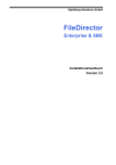 Installation des FileDirector Servers