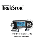 TrekStor i.Beat 100