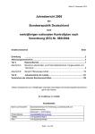 Rahmenbericht zum MNKP 2009