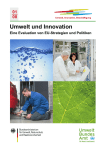 Umwelt und Innovation - Eine Evaluation von