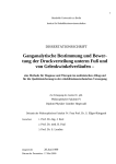 tung der Druckverteilung unterm Fu&szlig; und von Gelenkwinkelverl&auml;ufen