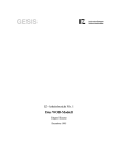 IZ-Arbeitsbericht Nr. 1