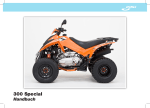 Dinli 300 Service Manual - Quadwelt