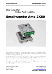 SWA-2X60 (manual_dt)