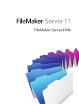 FileMaker&reg; Server 11