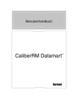 CaliberRM Datamart