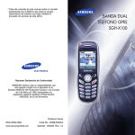 Samsung SGH-X100 Manual de Usuario